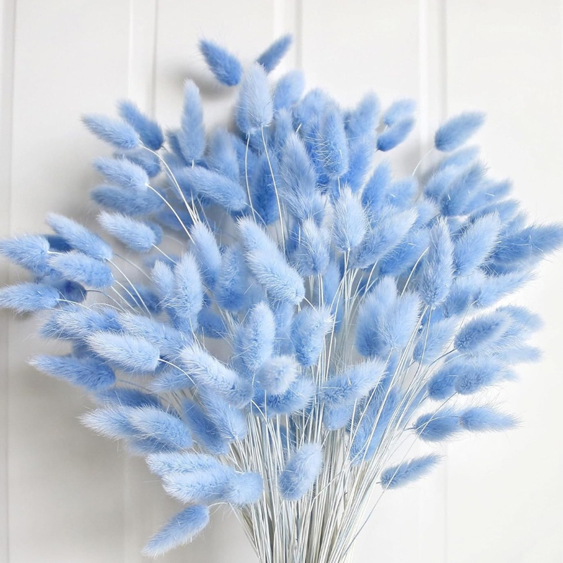Dried Flower Bouquet - 100 pièces bleu lièvre-queue herbe lapin