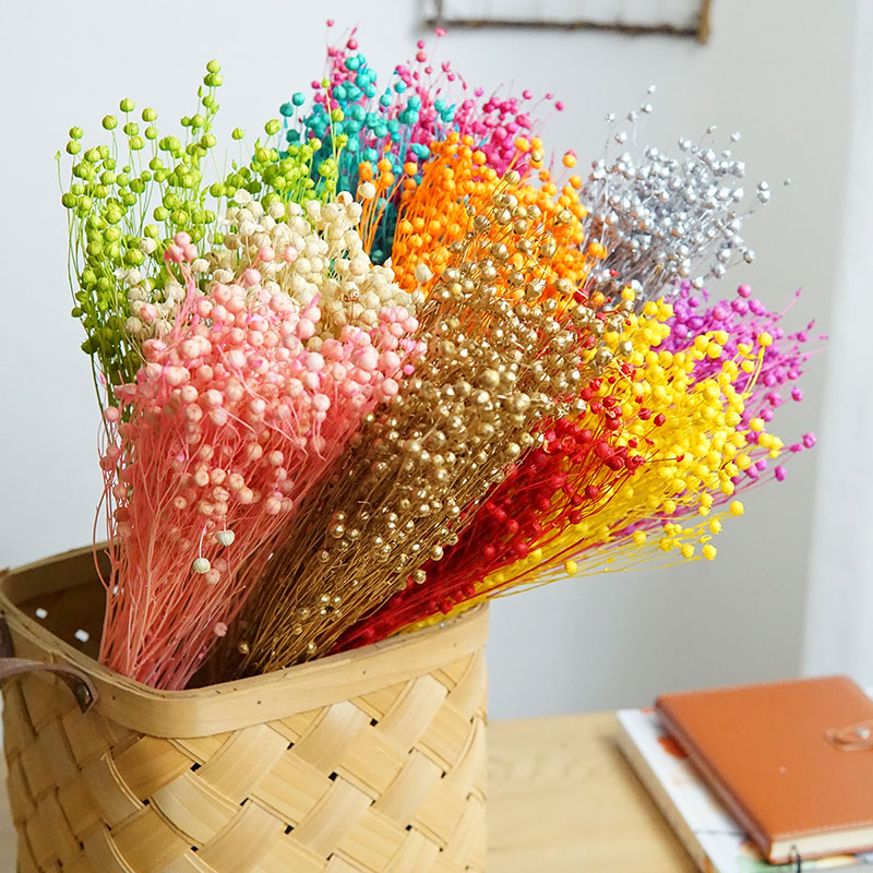 Ormosia Hosiei – vraies fleurs - Dried Flower Bouquet avis et prix
