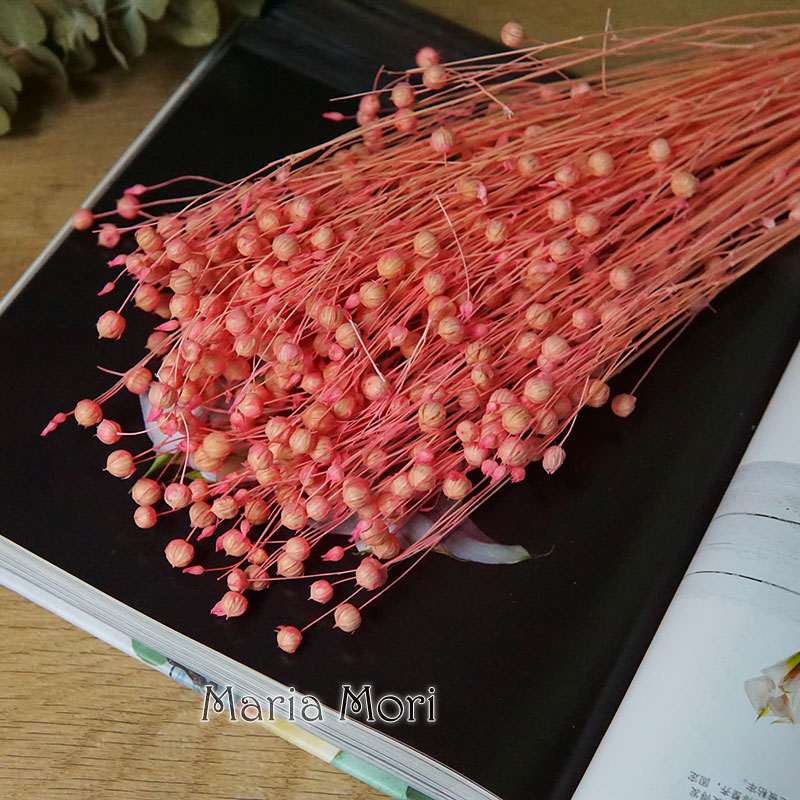 Ormosia Hosiei – vraies fleurs - Dried Flower Bouquet avis et prix