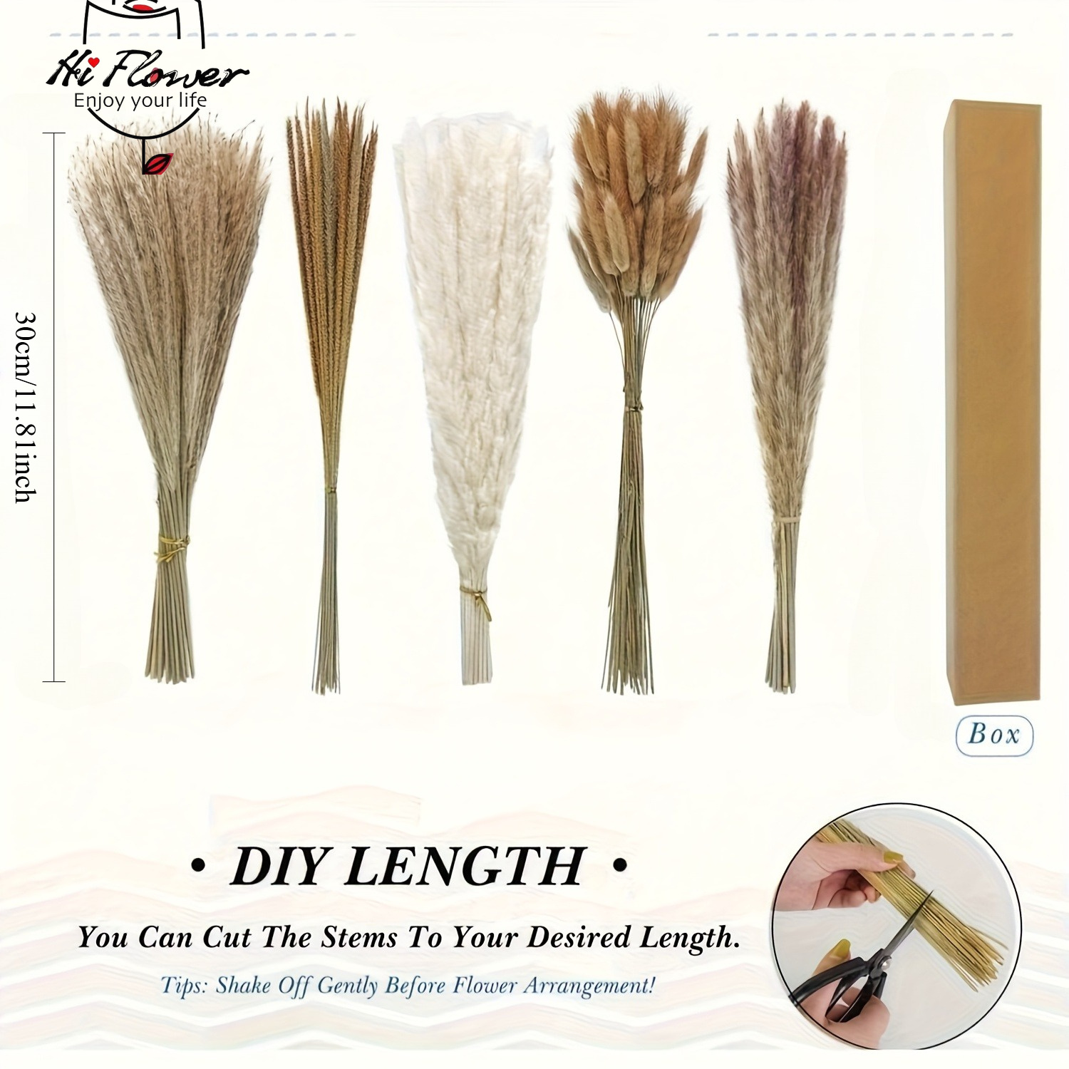 Bouquet d'herbe de la pampa sé - Dried Flower Bouquet avis et prix