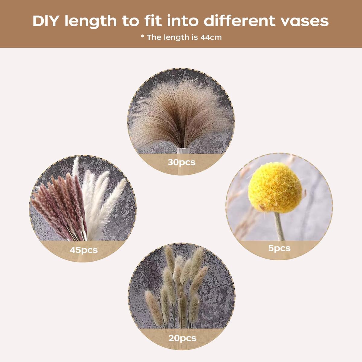 Bouquet d'herbe de la pampa sé - Dried Flower Bouquet avis et prix