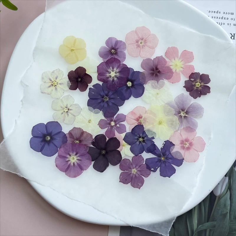 12 pièces, fleurs séchées pres - Dried Flower Bouquet avis et prix