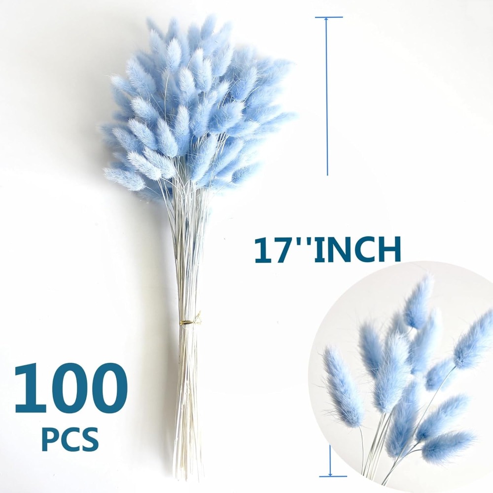 100 pièces bleu lièvre-queue h - Dried Flower Bouquet avis et prix