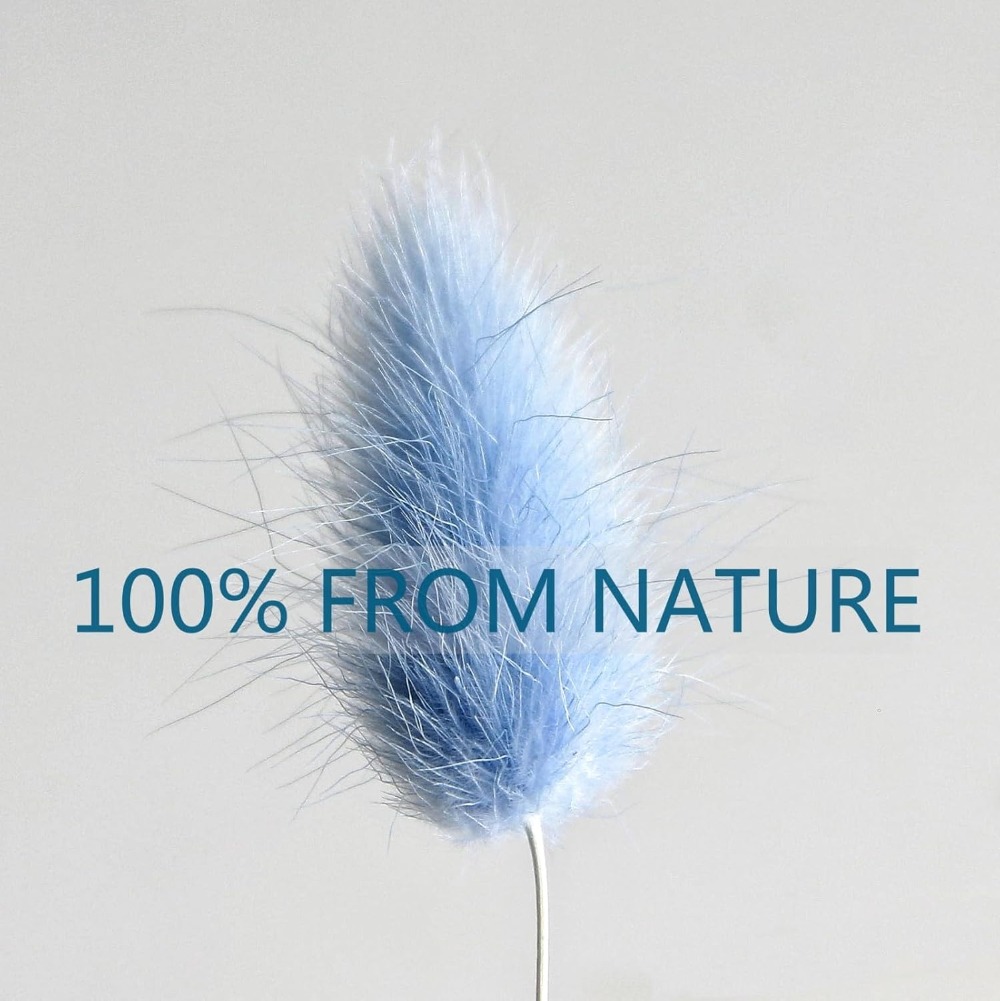 100 pièces bleu lièvre-queue h - Dried Flower Bouquet avis et prix