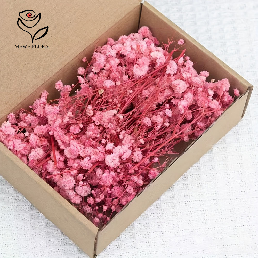 Fleurs séchées pour bébé, 100  - Dried Flower Bouquet avis et prix