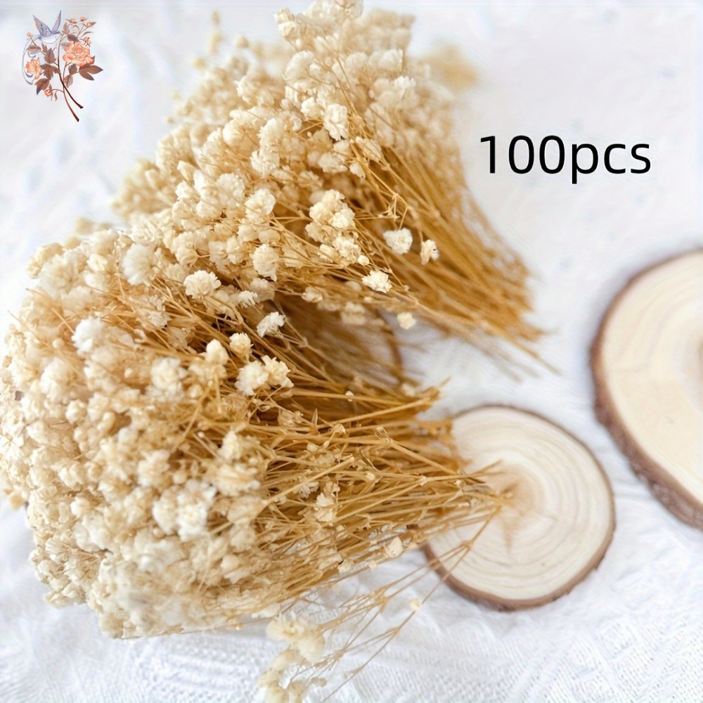 100 mini-fleurs séchées de gyp - Dried Flower Bouquet avis et prix