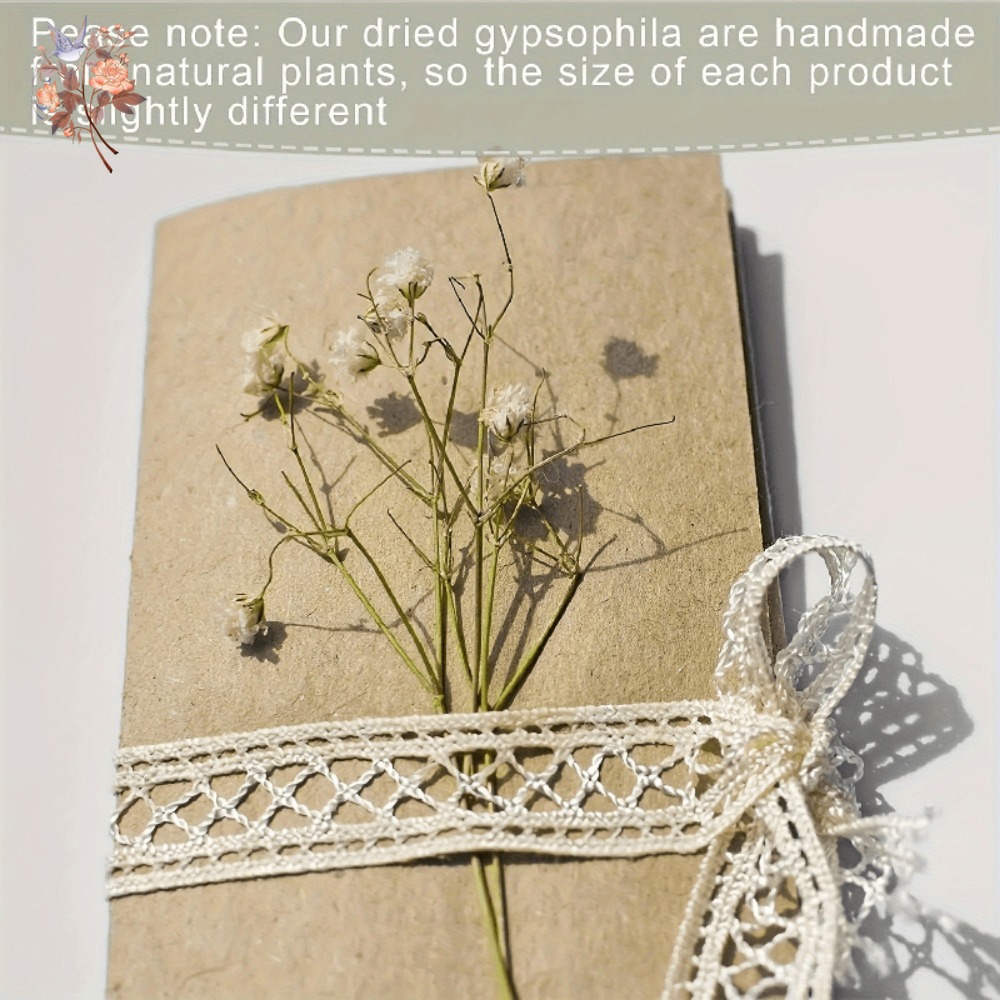 100 mini-fleurs séchées de gyp - Dried Flower Bouquet avis et prix